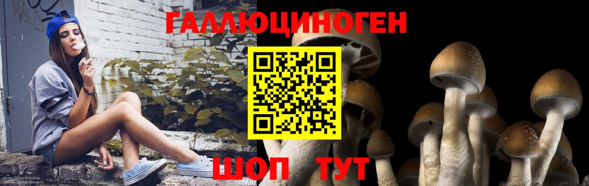 Бутурлиновка  Галлюциногенные грибы мицелий  Вход с VPN 